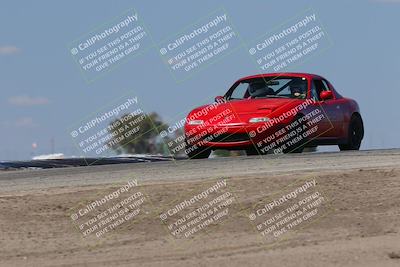 media/Oct-04-2025-OnGrid (Sat) [[44bd565ffa]]/Green Group/Grapevine/